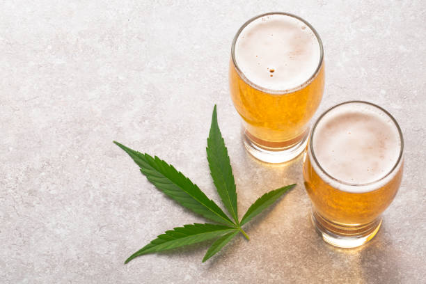 Cannabis infused beer with a marijuana leaf Cannabis infused Beer to get you high. Edibles are a popular way to get high without actually smoking. Since legalization of Marijuana in Canada, Uruguay and some US states, LP’s and companies are looking for different ways to provide consumers with a smoke-free high. cannabis sativa photos stock pictures, royalty-free photos & images