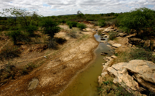vitoria da conquist, bahia / brazil - october 28, 2011: dry riverbed in the rural area of the city of Vitoria da Conquista.