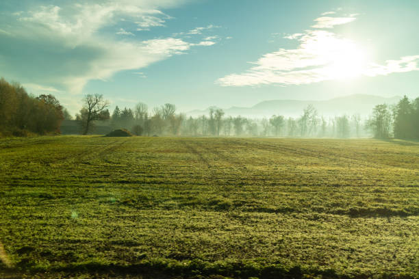 istock Sunny morning natural landscape with agricultural fields , Austria. 1249902398
