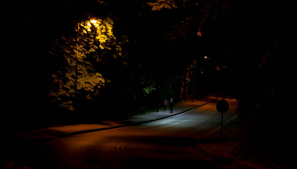 istock Walking in the park at night 1249908701