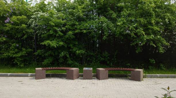 istock Two wooden benches next to each other 1249908703
