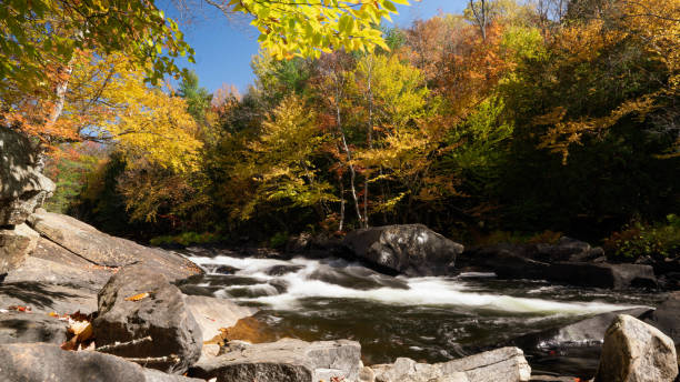 istock Streaming water in an autumn landscape 1249908752