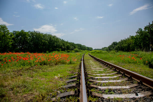 istock Summer landscape with a railway and red poppies 1249935244
