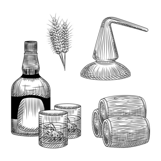 ilustraciones, imágenes clip art, dibujos animados e iconos de stock de conjunto de proceso de producción de whisky en estilo dibujado a mano. botella de whisky, vaso, barril, trigo, destilación. - alambique