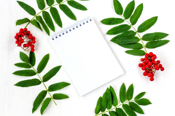 istock Autumn berries composition. A notebook with space for text in a frame made of bunch rowan on a white wooden rustic background. Concept of writing letter, wishes, goals, plans, holiday invitations. Top view, copy space. 1249945323