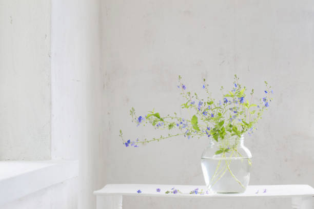 istock wild flowers veronica in jar in white vintage interior 1249947579