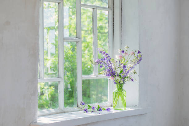 istock summer flowers in vase on windowsill in sunlight 1249947600