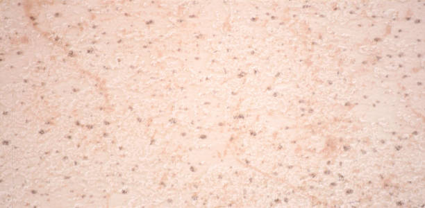 istock Pale pink agate, polished surface of natural stone with black splashes. 1249950676