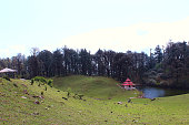 grasfeld-im-tal-von-uttarakhand-indien.jpg?b=1&s=170x170&k=20&c=DBz_t2aP570LRM0mm1SBq_4QTyqFfLoK24vi7DWzkG4=