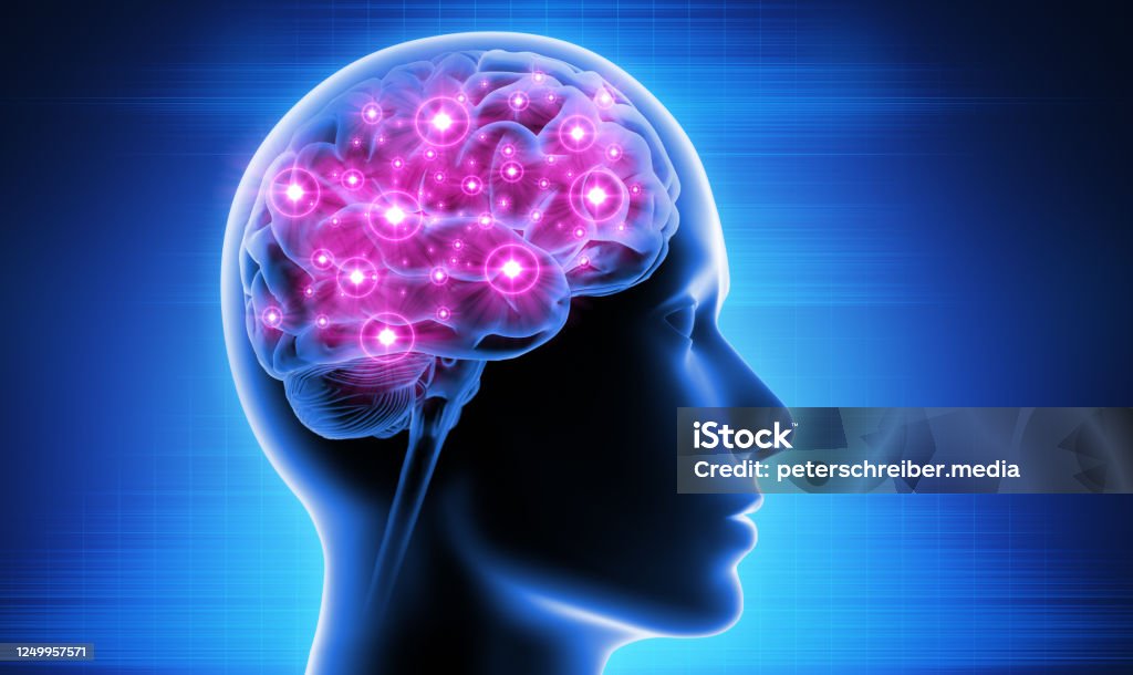 Brain Activity Human Head with Brain Activity Nerve Cell Stock Photo