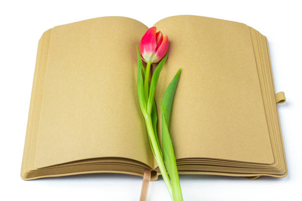 istock Blank open diary (notebook, sketchbook) decorated with spring red tulips with space for text or lettering. Concept of writing letter, wishes, goals, plans, life story. Flat lay mockup spring composition. 1249957718