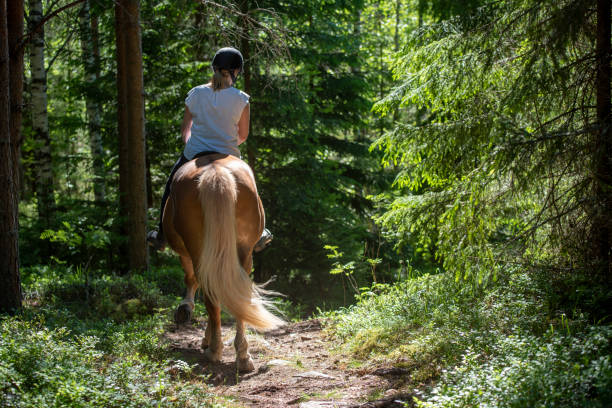 istock Woman horseback riding in forest 1249958276