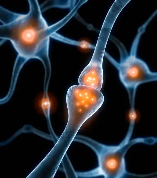 nerve cells synapses with neurotransmitters - 3D illustration