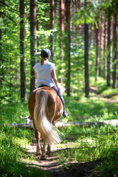 istock Woman horseback riding in forest 1249958315