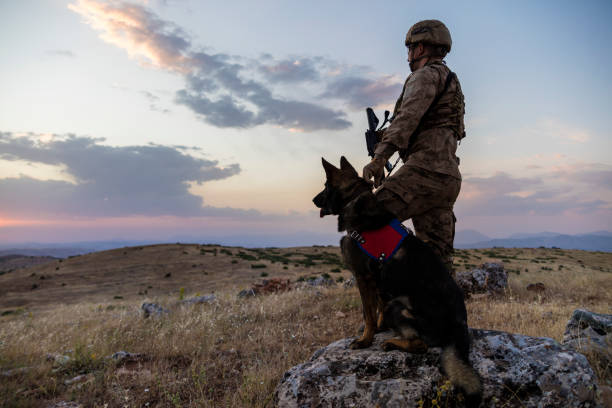 istock Military Dog and its soldier owner 1249961189