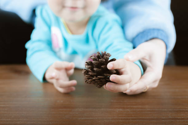 Baby girl holds a pine cone in mother’s arms