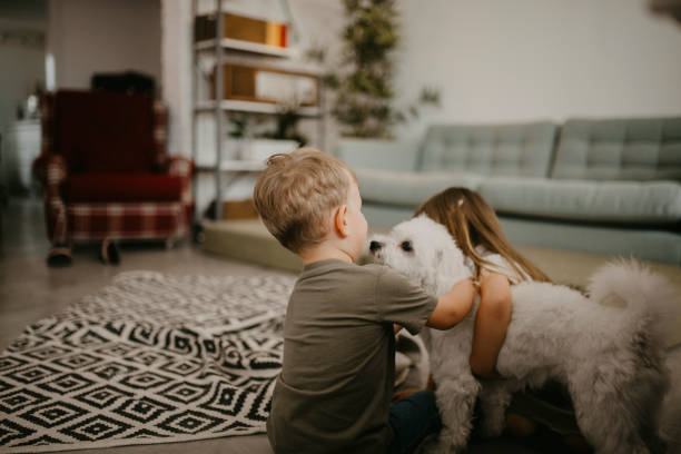 istock Reluctant to play at home 1249966924