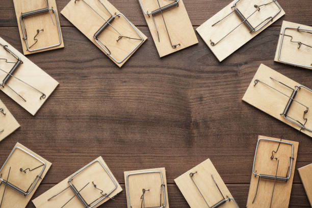 istock many mousetraps on the wooden background 1249969019