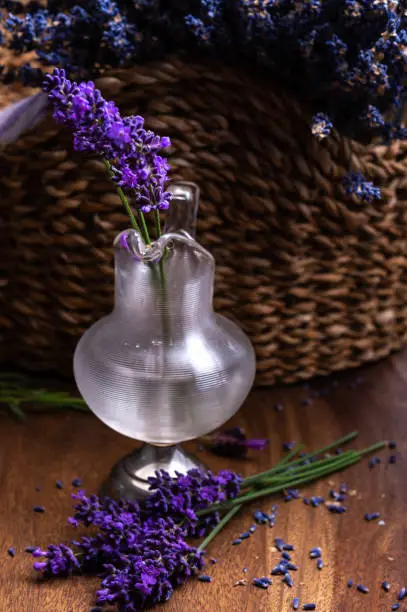 Small vintage vase with bunch of fresh purple  aromatic lavender flowers in gift shop in Provence, France close up