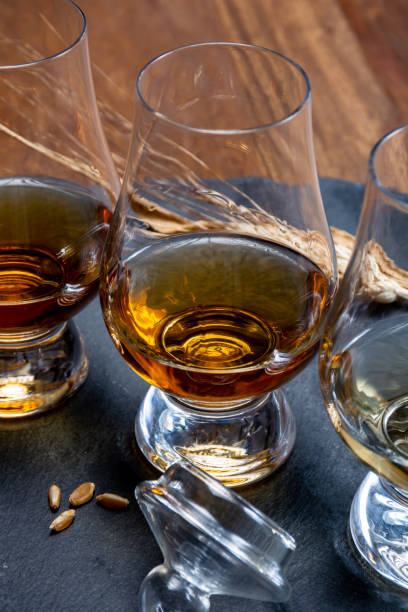 istock Scotch single malt and blended whisky tasting on distillery in Scotland 1249970308