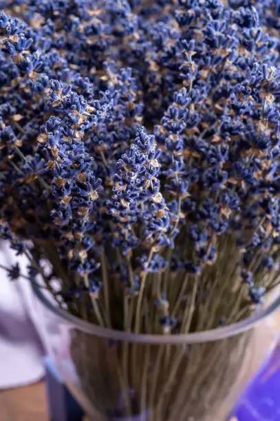 Vase with bunch of purple dried aromatic lavender flowers in gift shop in Provence, France dark key