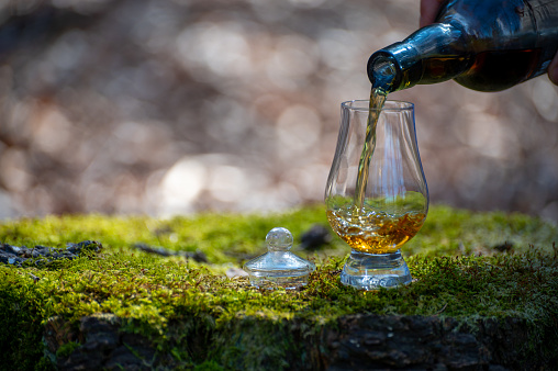 A tempting glass of Scotch whisky.