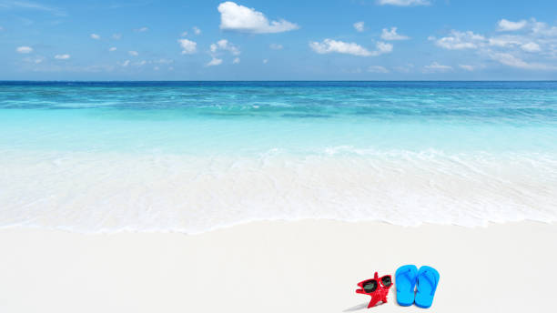 istock Tropical beach holiday scene 1249974757