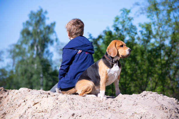 istock boy and his friend funny beagle dog 1249977618