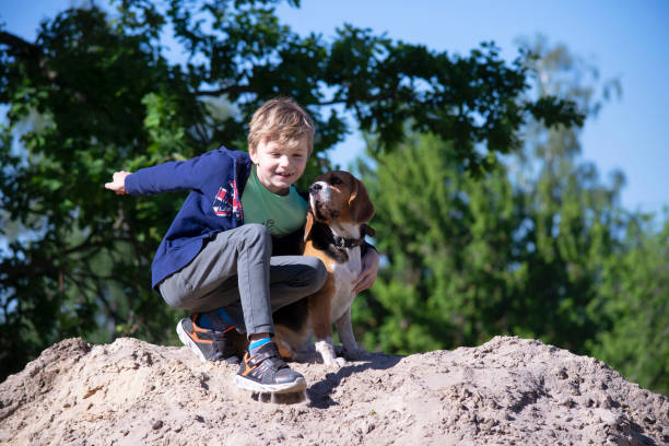 istock boy and his friend funny beagle dog 1249977637