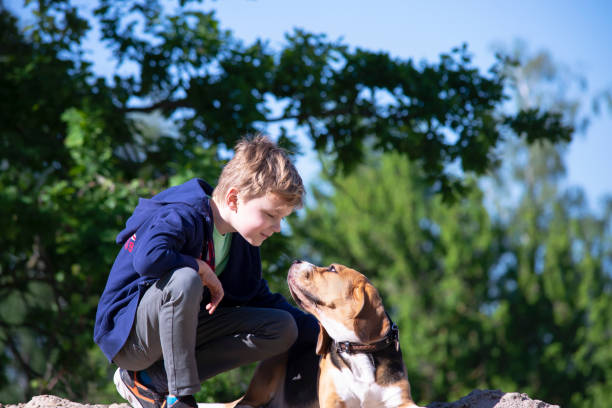 istock boy and his friend funny beagle dog 1249977750