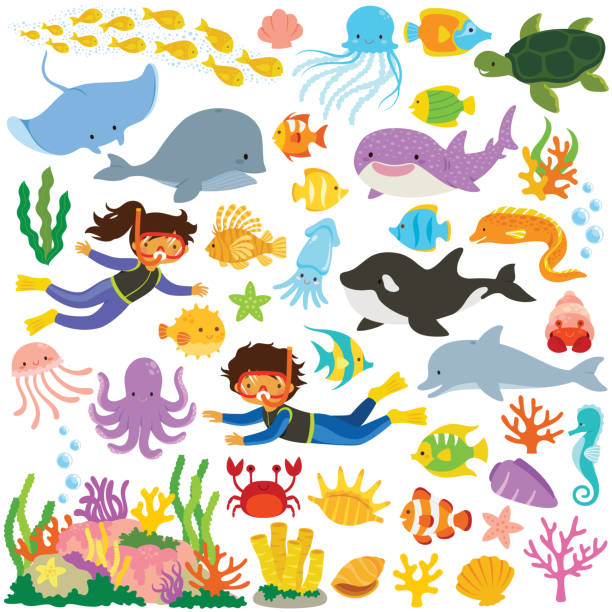 ilustraciones, imágenes clip art, dibujos animados e iconos de stock de colección de animales marinos - underwater animal sea horse fish