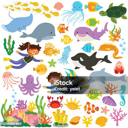 38,794 Cute Sea Creatures Stock Photos, Pictures & Royalty-Free Images -  iStock | Kiddie pool