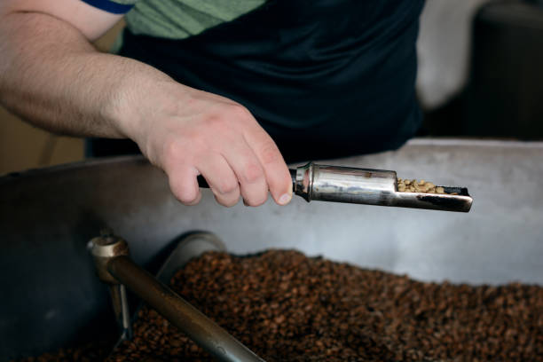 istock Quality control of roasted coffee beans 1249985434