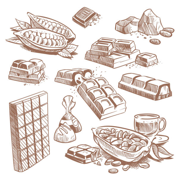 el çizilmiş tatlı çikolata, pralin ve kakao çekirdekleri ile şekerler çizilmiş. sketch tatlı vektör seti izole - çikolata illüstrasyonlar stock illustrations