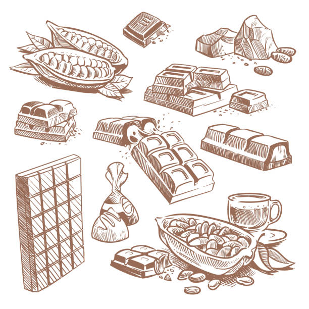 Hand drawn sweet chocolate bars, candies with praline and cocoa beans. Sketch dessert vector set isolated. Candy chocolate, cocoa sweet dessert illustration