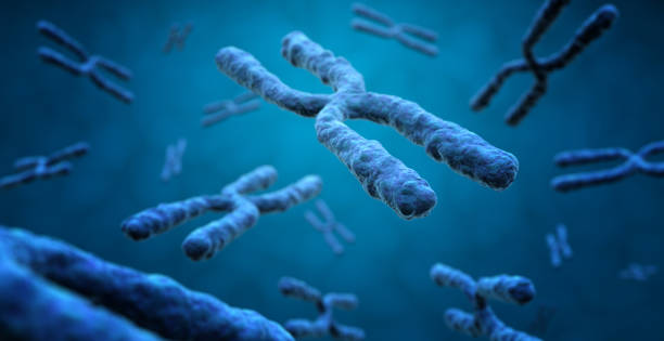 istock 3d illustration of  X chromosomes 1249987285