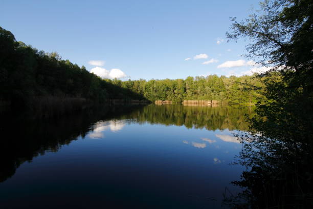 istock Small lake in the nature 1249987316