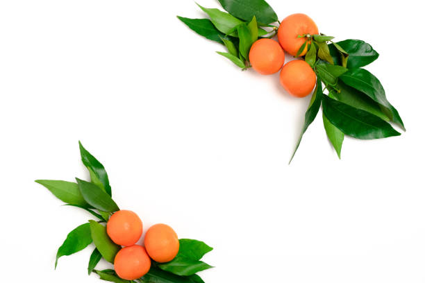Border frame made of mandarins