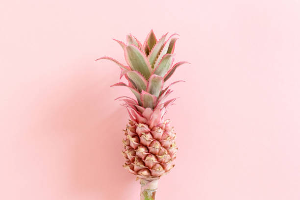 Directly above red pineapple with flower.