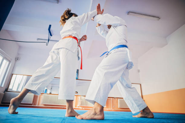 istock Young karate students training karate together in gym 1249988645