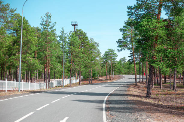 istock empty winding road in a green pine forest 1249990336
