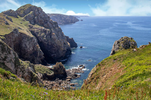 señor gully. kastell ar roc'h en la reserva cap-sizun. finistère. bretaña - ecological reserve fotografías e imágenes de stock