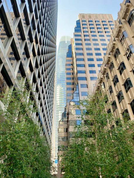 istock Corporate Buildings in San Francisco 1249991450
