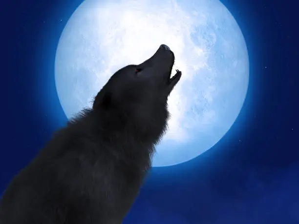 Photo of 3D rendering of black wolf with red eyes in moonlight.
