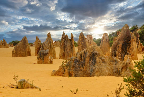 istock The Pinnacles Desert in Western Australia 1249994778