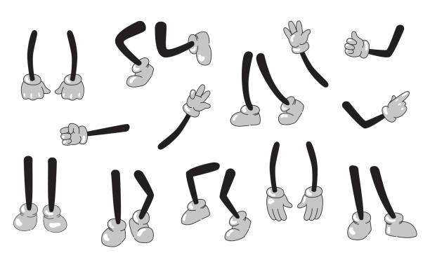 ilustrações de stock, clip art, desenhos animados e ícones de cartoon arms and legs set - animal leg