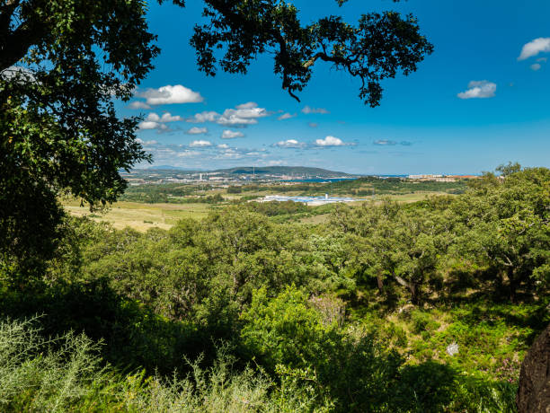 istock countryside, andalusia, spain 1249996693