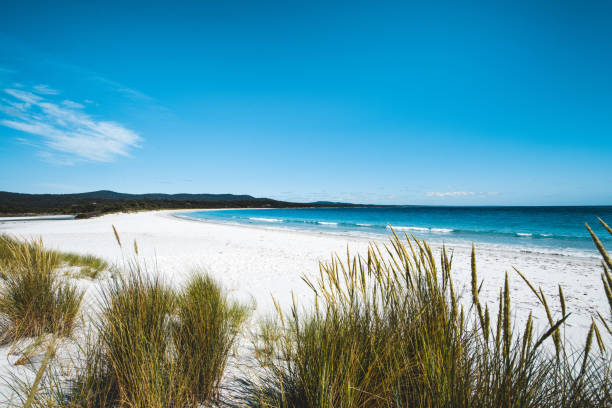 istock White sand paradise beach in Tasmania, Australia 1249997066