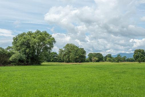 Nature reserve in Alsace near Sélestat