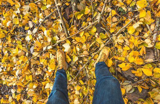 foot on the ground with autumn yellow color leaf ...